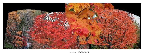 2011.10北海道の紅葉